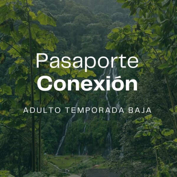 Pasaporte Conexión Adulto
