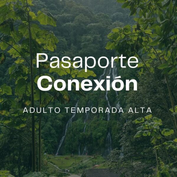 Pasaporte Conexión Adulto - Temporada Alta